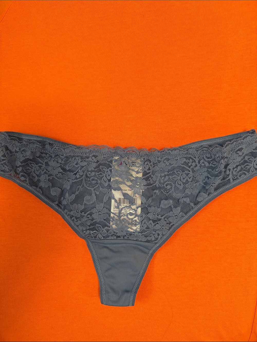 Lace-Front Panty in Slate Blue Size XL by Mark Formelle